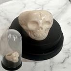 sculptuur, Schedel ring - in stolp (memento mori) - 2 cm -