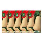 Pompoenzaad | VT | 5 stuks (Flespompoen), Tuin en Terras, Verzenden