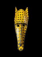 hyena - Bozo - Mali (Zonder Minimumprijs), Antiek en Kunst