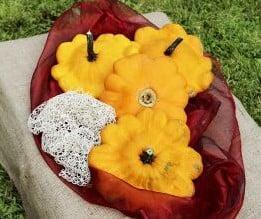 Patisson Ile de Maurice pompoen 250 zaden, Hobby en Vrije tijd, Knutselen, Nieuw, Ophalen of Verzenden