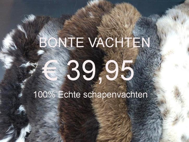 Schapenvacht BONTE Natuurlijke schapenhuid schapenvel €39,95, Huis en Inrichting, Woonaccessoires | Overige, Nieuw, Ophalen of Verzenden