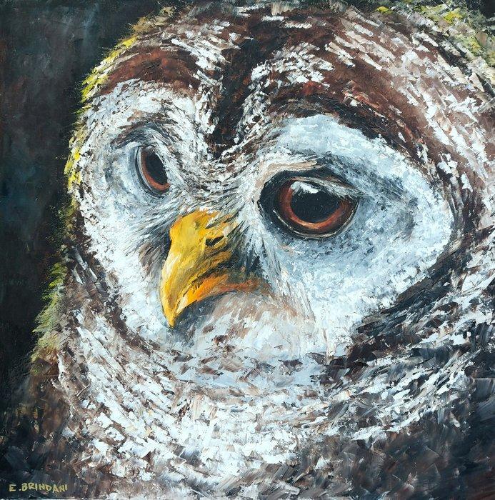 Elena Brindani - Civetta, Antiek en Kunst, Kunst | Schilderijen | Modern