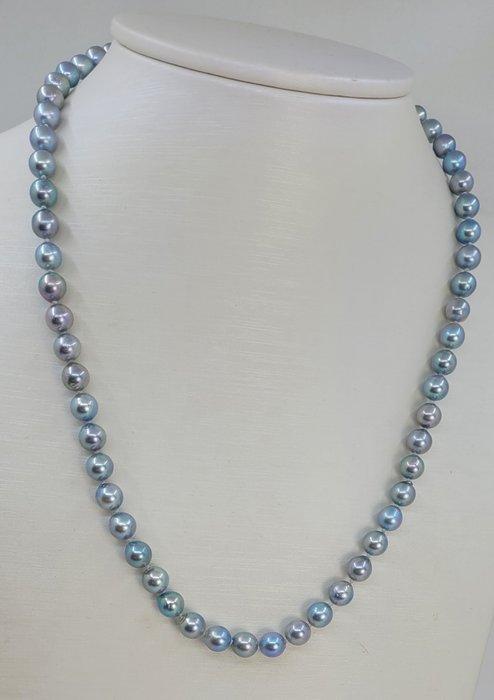 Halsketting 6x6,5 mm zilveren Akoya-parels, Sieraden, Tassen en Uiterlijk, Kettingen