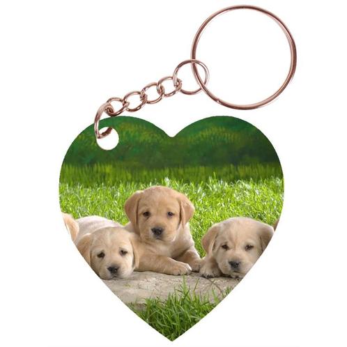 Sleutelhanger hartje 5x5cm - 5 Golden Retreiver Pups in Gras, Verzamelen, Sleutelhangers, Nieuw, Ophalen of Verzenden