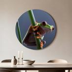 Emerald Climber - Muurcirkel - ø 80 cm +Ophangset, Verzenden, Nieuw, Print