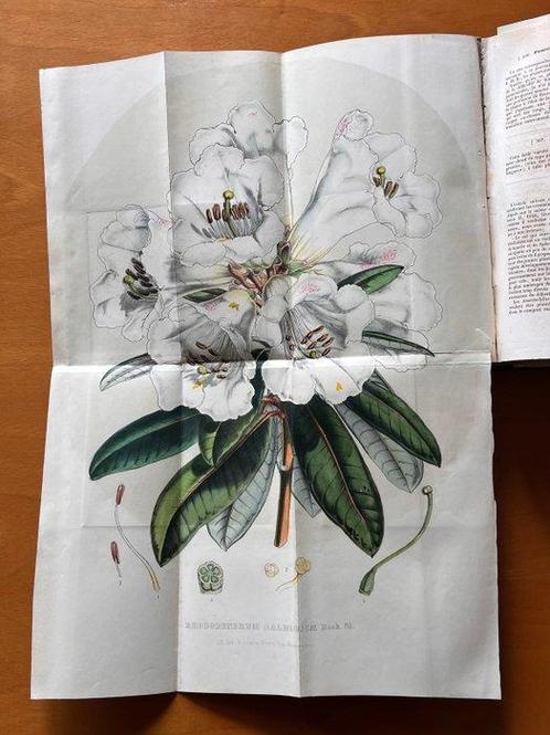 Louis van Houtte - Flore des Serres et des Jardins de, Antiek en Kunst, Antiek | Boeken en Bijbels