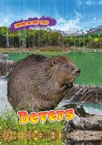 9789464390995 Dieren in het wild - Bevers, Boeken, Verzenden, Nieuw, Rachel Koestler-Grack