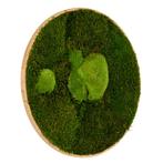 Vintlux Mosschilderij Rond 100 cm Ongelakt Eiken - Esbjerg, Nieuw