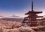 Poster Mount Fuji Blossom 140x100cm, Nieuw, A1 t/m A3, Verzenden