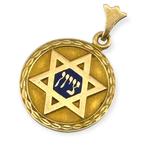 Hanger - 14 karaat Geel goud, 14K Geelgouden Davidster