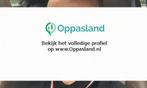 Valentijn zoekt een oppas in Hooge Zwaluwe voor 2 kindere...
