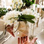 Kolibri Orchids | Witte orchidee Nazaré + Pearl sierpot Tr, Huis en Inrichting, Verzenden, Nieuw