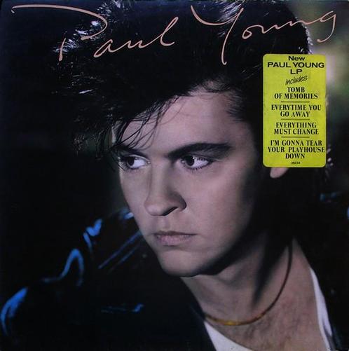 LP gebruikt - Paul Young - The Secret Of Association, Cd's en Dvd's, Vinyl | Rock, Zo goed als nieuw, Verzenden