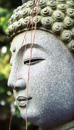 Boeddha sliert 70x130cm Tuinschilderij - Customize-it, Nieuw, Verzenden