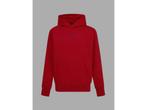Veiling - Nike Jordan Jr Trui Hoodie Con Cappucio Crossover, Nieuw