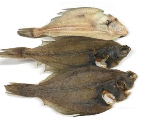 Scholletjes ongeveer 150 gram, Dieren en Toebehoren, Dierenvoeding