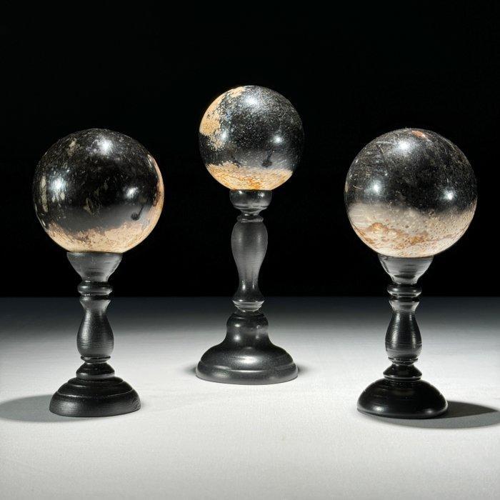 Prachtige set van 3 palmwortelbollen op aangepaste, Antiek en Kunst, Kunst | Designobjecten