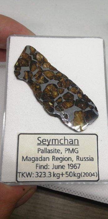 Magnifieke Seymchan-meteoriet. Translucide olivijn., Verzamelen, Mineralen en Fossielen