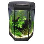 Osaka Hexagon aquarium  60ltr + LED (Osaka Cubes), Ophalen of Verzenden, Nieuw