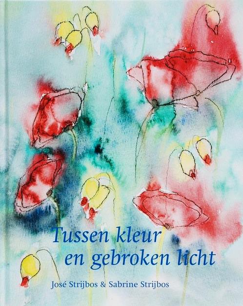 Tussen kleur en gebroken licht 9789058976031 J. Strijbos, Boeken, Kunst en Cultuur | Beeldend, Zo goed als nieuw, Verzenden