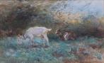 Willem Hendrik van der Nat (1864–1929) - Twee geitjes