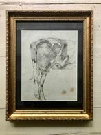 Anton Mauve (1837-1888), Toegeschreven aan - Studietekening