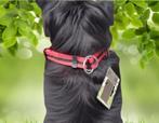 Trek-stop halsband voor honden van Grossenbacher, Verzenden, Nieuw