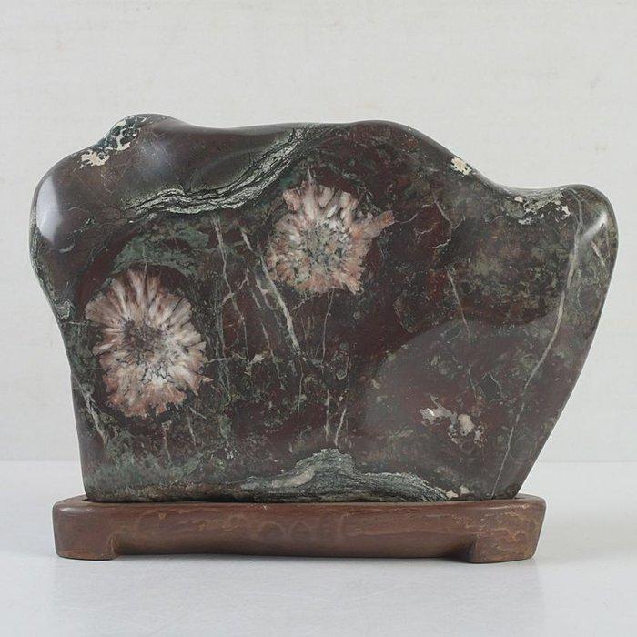 Grote natuurlijke chrysanthemumsteen (Suiseki) - diepe, Antiek en Kunst, Antiek | Overige Antiek