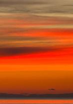 Agathe Toman - ORANGE SUNSET- XL 2/15