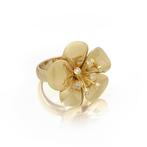 Ring Catherine Prevost 18 karaats geelgouden en diamanten, Nieuw
