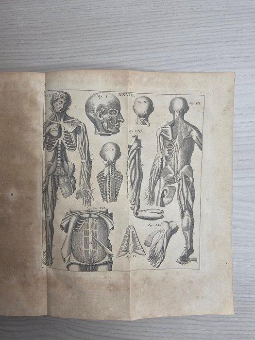 Johann Adam Kulmu - Tabulae Anatomicae - 1744-1744, Antiek en Kunst, Antiek | Boeken en Bijbels