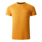-41% Dare2b  Dare2b Heren persist marl t-shirt  maat XS, Verzenden, Nieuw, Oranje