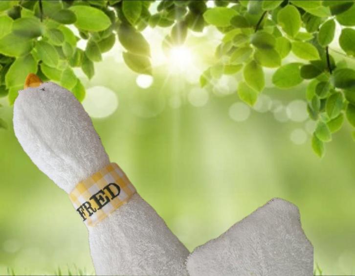 Hondenknuffel gans met naam, Dieren en Toebehoren, Hondenspeelgoed, Knuffels, Nieuw, Verzenden