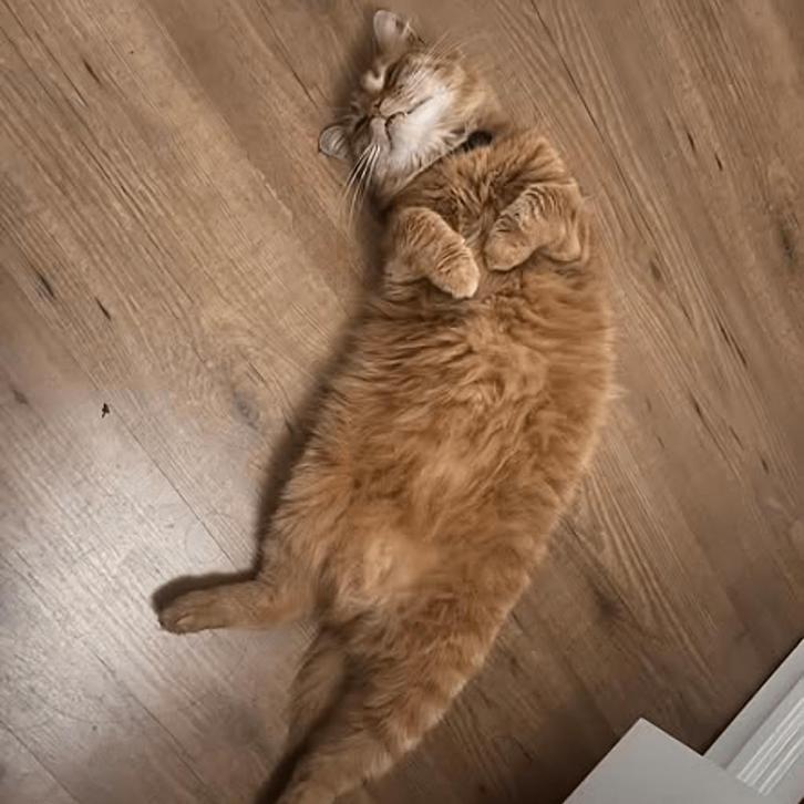 Gemeubileerde kamer met mogelijkheid tot registrat..., Huizen en Kamers, Kamers te huur, Amsterdam