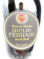 1995 Giulio Ferrari Riserva del Fondatore Collezione -, Verzamelen, Wijnen, Nieuw