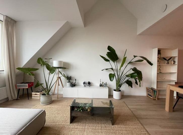 Appartement te huur 3 kamers, Deventer, Huizen en Kamers, Huizen te huur, Direct bij eigenaar, Overijssel, Appartement