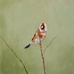 Matthieu van Riel - Goldfinch on a Branch