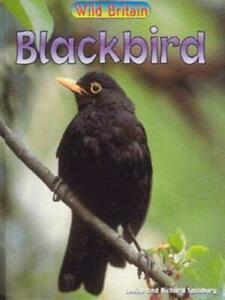 Wild Britain: Blackbird by Louise Spilsbury (Hardback), Boeken, Taal | Engels, Gelezen, Verzenden