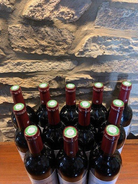 2017 Château Gaudin - Pauillac - 12 Flessen (0.75 liter), Verzamelen, Wijnen