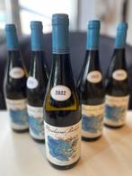 2022 Meridiano Perdido - Jerez Vino de Pasto - 5 Flessen, Verzamelen, Nieuw