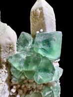 Prachtige kubieke groene fluoriet met fantastische, Verzamelen, Mineralen en Fossielen