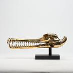 sculptuur, Gharial Crocodile Skull, on custom stand -, Antiek en Kunst, Kunst | Designobjecten