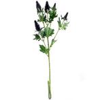 Blauwe distel Erynchium 77cm./tak Blauwe distel Erynchium, Ophalen of Verzenden, Nieuw