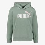 Puma ESS 2 Col Big Logo FL kinder hoodie groen maat 140/146, Kleding | Dames, Truien en Vesten, Verzenden, Nieuw