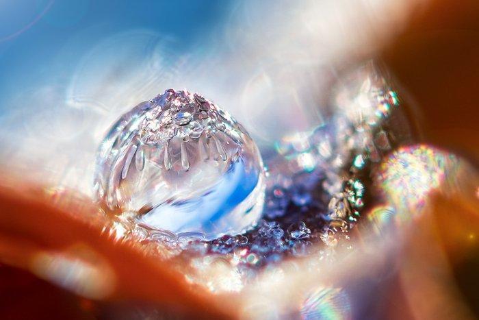 Inna Etuvgi - Igloo on the Edge of the fallen Leaf, Antiek en Kunst, Kunst | Designobjecten