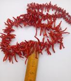 Bloedkoraal Koraal - Corallium rubrum (Zonder Minimumprijs), Antiek en Kunst