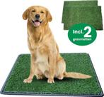 Gtrise Hondentoilet Met 2 Matten out/Indoor - Dieren Wc, Ophalen of Verzenden, Zo goed als nieuw