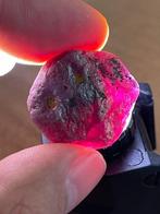 Robijn Ruw. Adembenemend Mozambique zeshoekig robijnkristal., Verzamelen, Mineralen en Fossielen