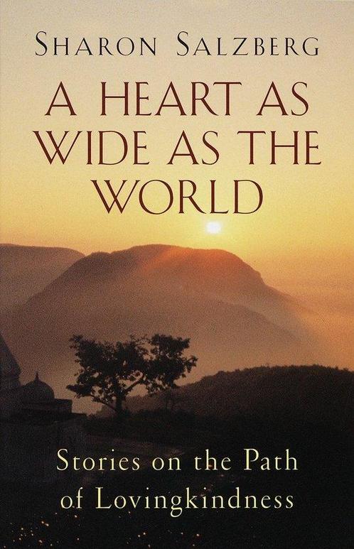 A Heart as Wide as the World 9781570624285 Sharon Salzberg, Boeken, Taal | Engels, Gelezen, Verzenden