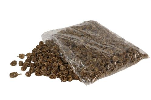 Casuarina denneappeltjes 1 kilo gold glitter Casuarina, Hobby en Vrije tijd, Knutselen, Nieuw, Ophalen of Verzenden